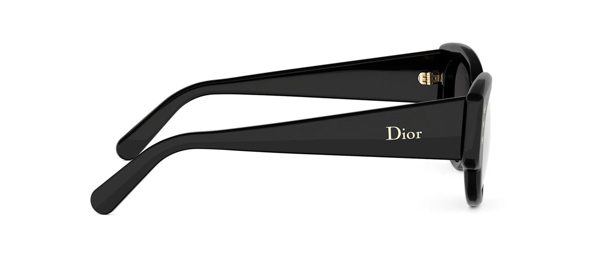 Dior Lucky Charms B1I Oval